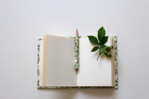 Journal notebook on how to start journaling for beginners in Fashion & Lifestyle Blog of Ritu Biswas